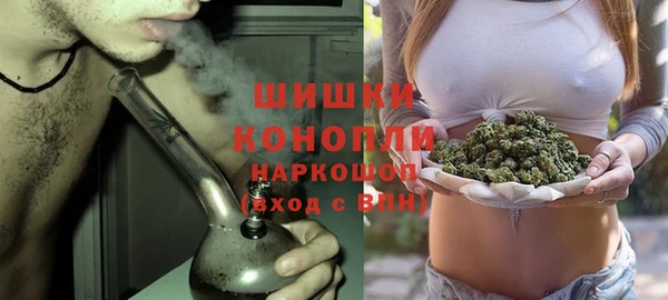 шишки Аркадак