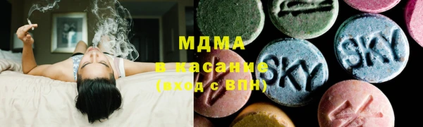 шишки Аркадак