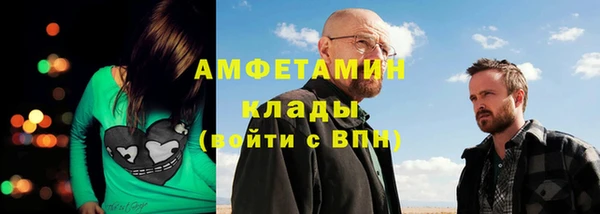шишки Аркадак