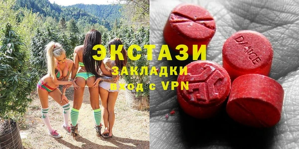 шишки Аркадак